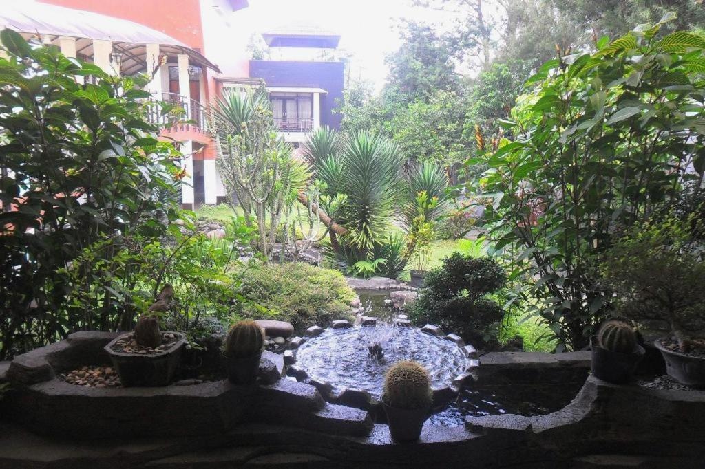 Villa Lemon Lembang Εξωτερικό φωτογραφία